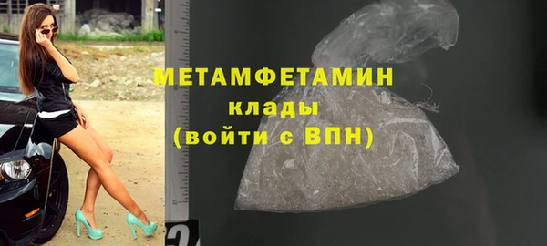 прущие грибы Лабытнанги