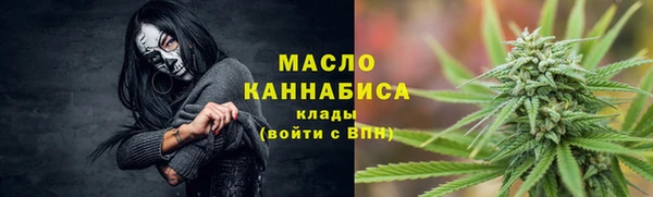 прущие грибы Лабытнанги