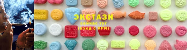 прущие грибы Лабытнанги