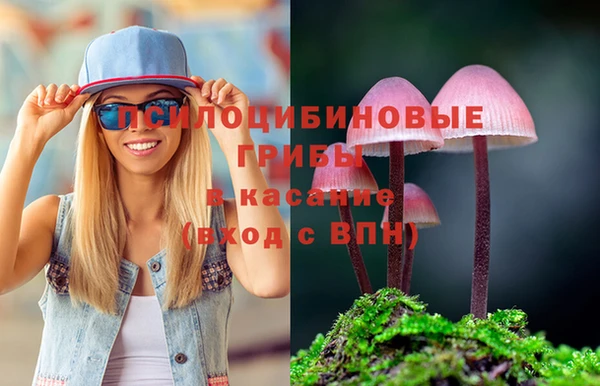 2c-b Куйбышев