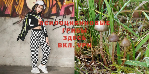 мдма Кулебаки
