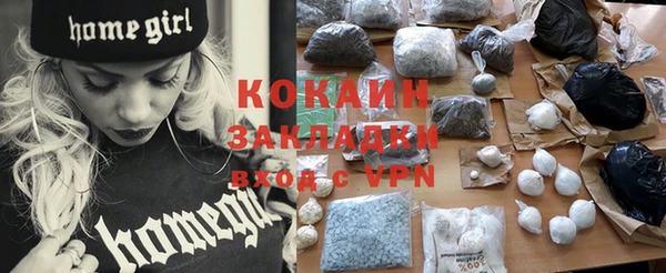 прущие грибы Лабытнанги