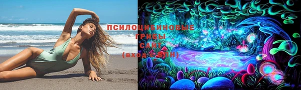 mdpv Ладушкин