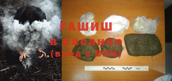 прущие грибы Лабытнанги
