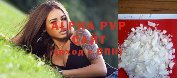 прущие грибы Лабытнанги