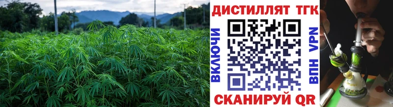 ТГК гашишное масло закладки Брюховецкая