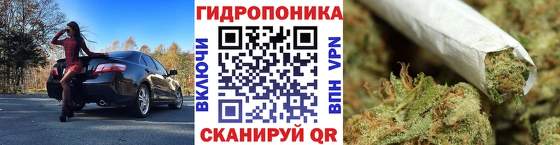 Каннабис SATIVA & INDICA  цена наркотик  даркнет какой сайт  Брюховецкая 